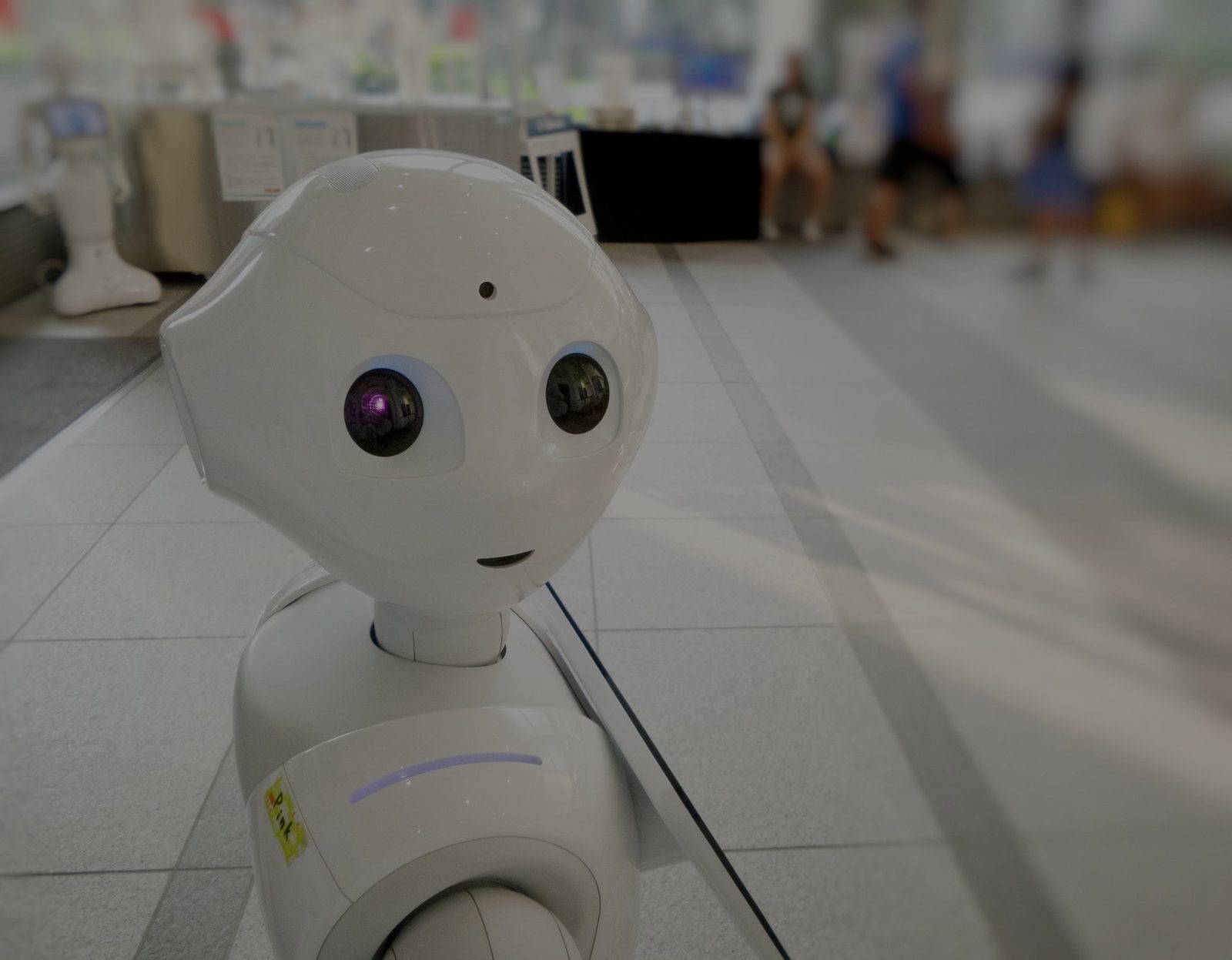 Tech policy will play a role for your business, too
